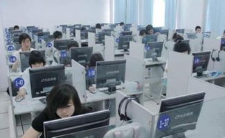 計算機應用 驅動現代社會的核心引擎
